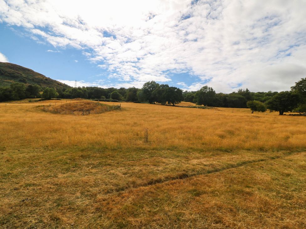 A field with dry grass and trees at Little Oak near Tal-Y-Bont