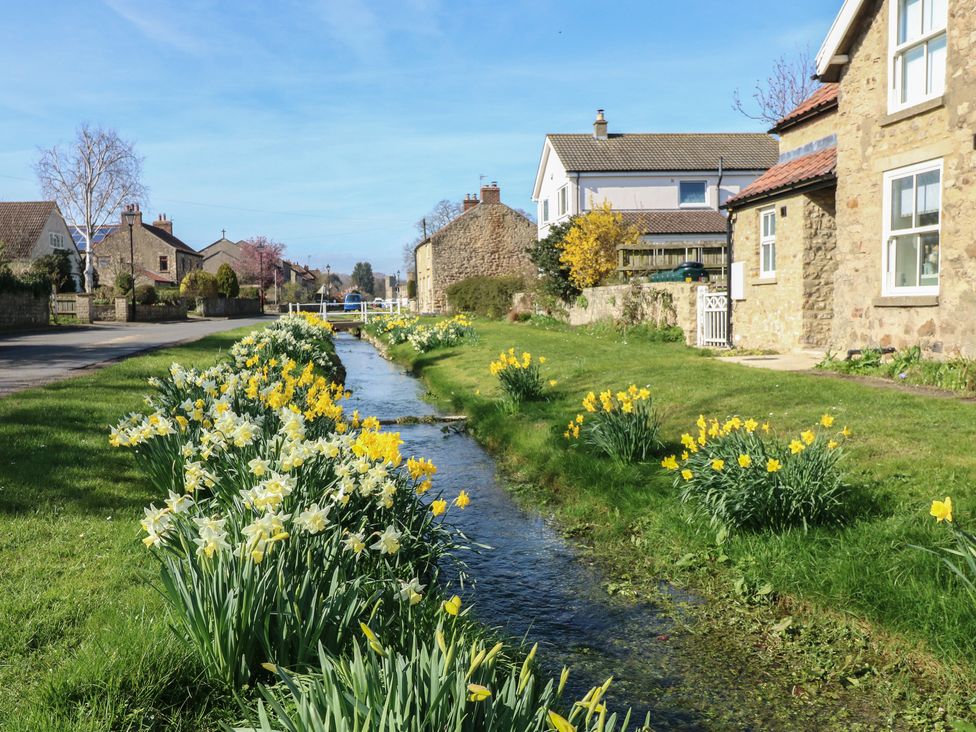 A stream with daffodils beside houses at Castle View Cottage Bedale