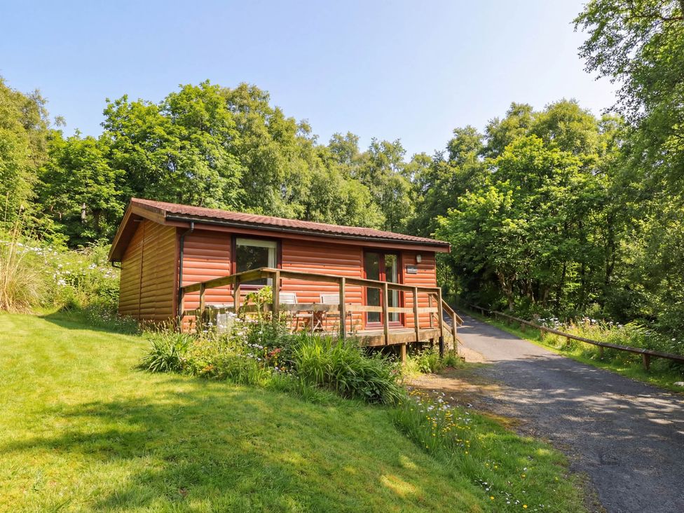 A cabin with a deck and garden area at Thistle Lodge in Dunoon