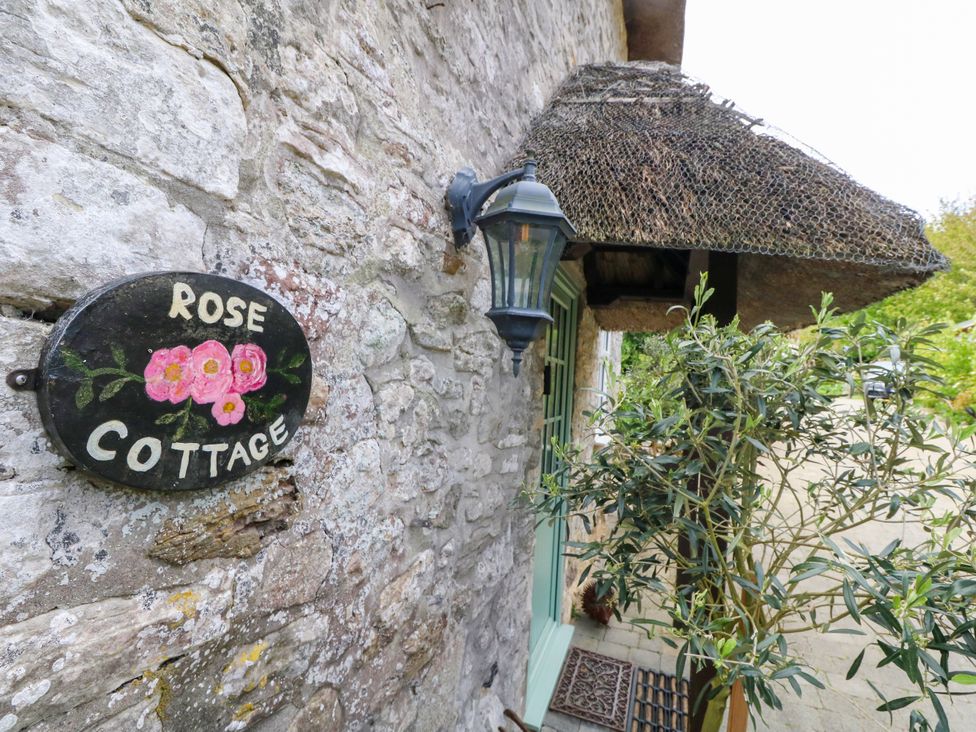 Rose Cottage - Dorset - 1200211 - thumbnail photo 56
