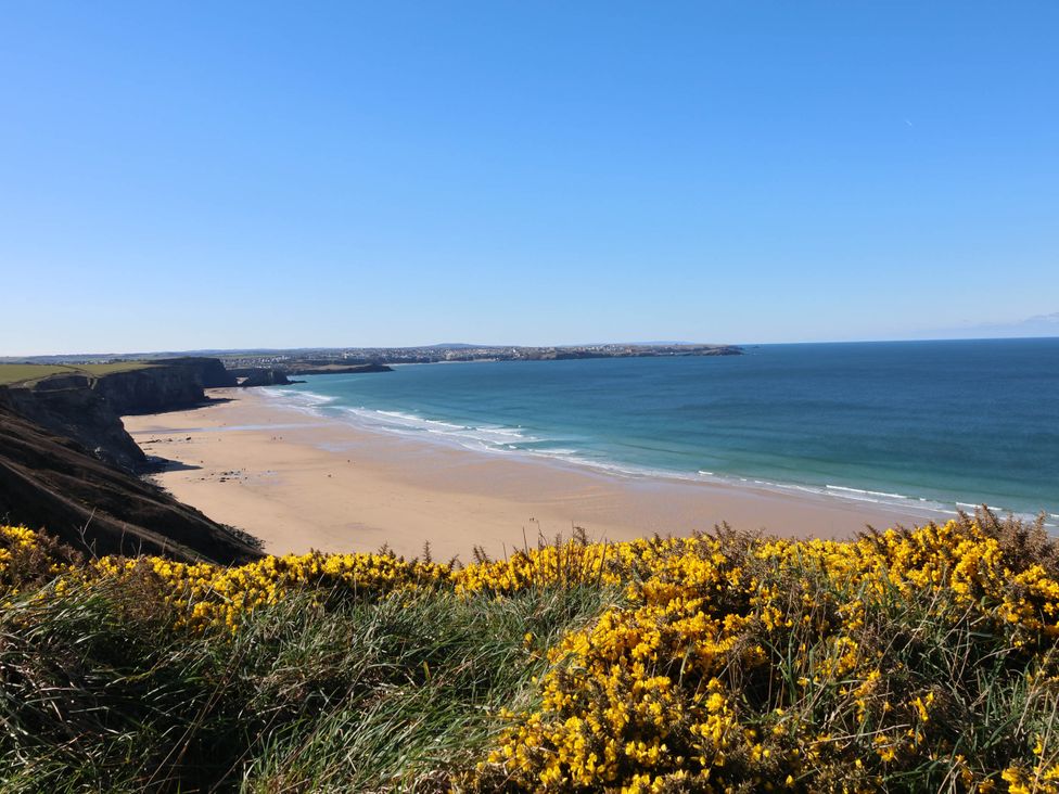 A beach view with yellow flowers at Bryher Cottage in St Mawgan