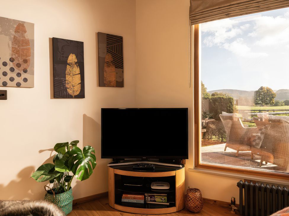A living room with a television and a plant at Cwtch Log Cabin Llandrillo