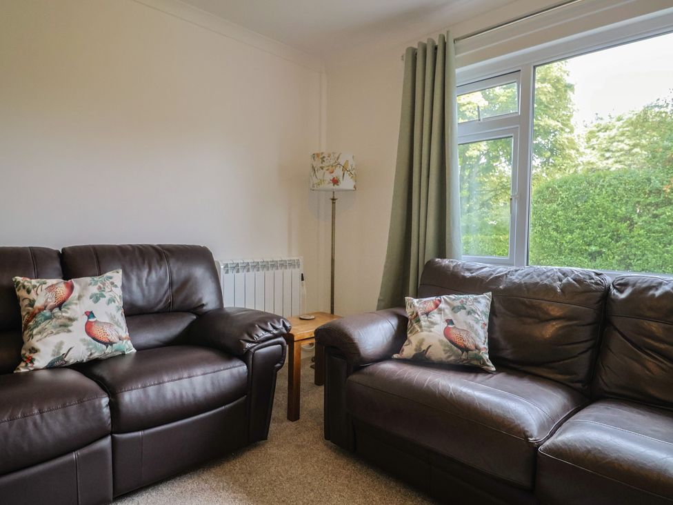 A living room with two sofas and a lamp at 2 North Road in Maiden Newton, Dorset
