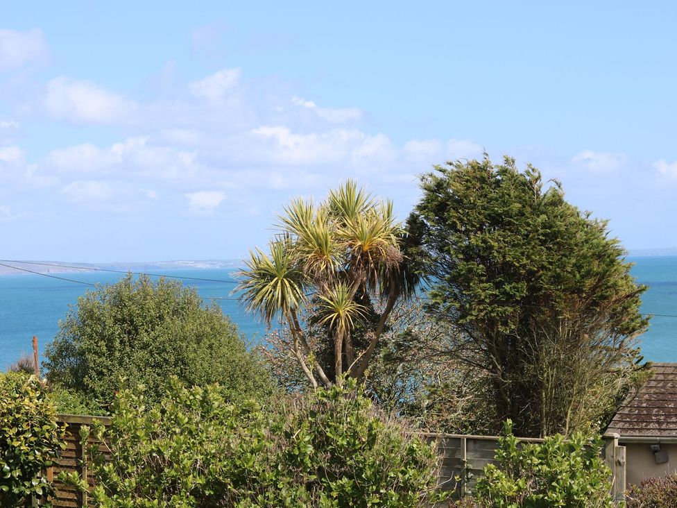 A view of the sea and trees at Wootton Gray in Penzance