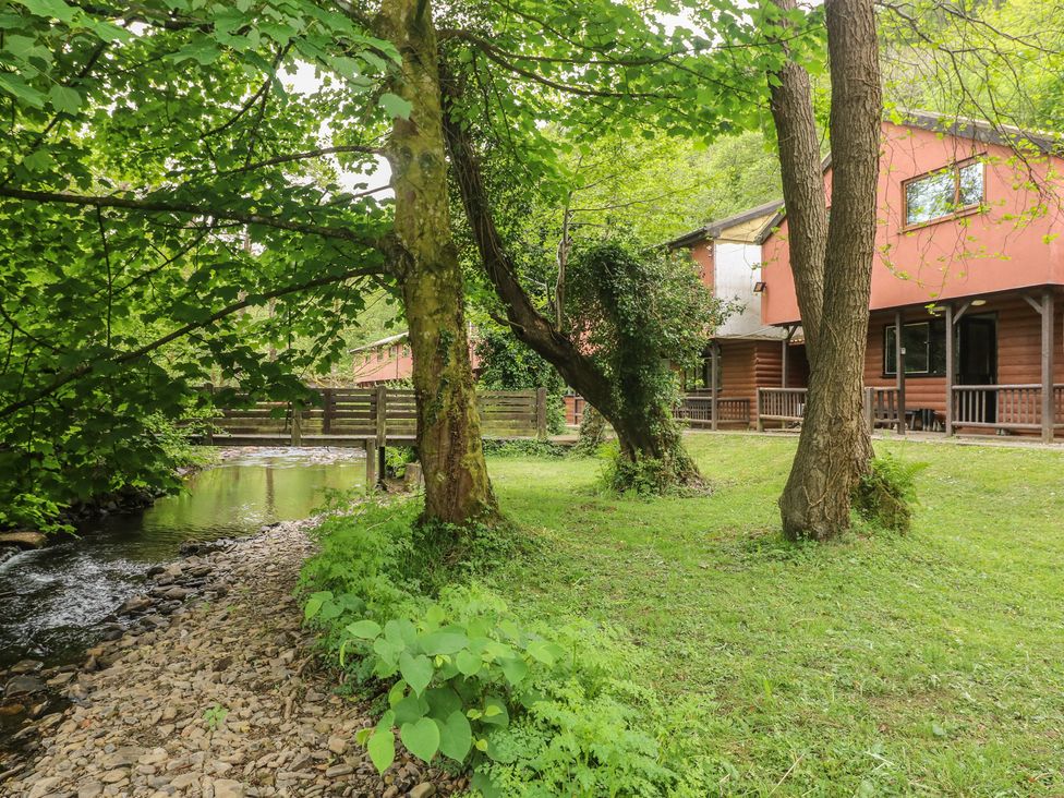 A cabin by a stream with trees at Cabin No. 6 - Salt and Fern Cabins Goytre near Port Talbot