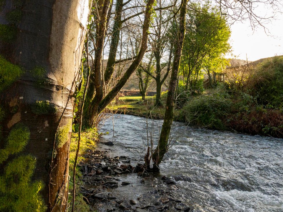 A stream running alongside trees and rocks