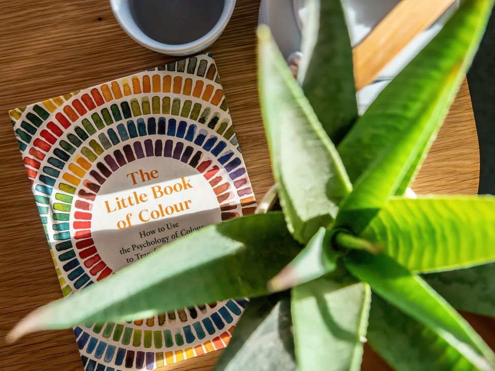 A book and a plant on a table at Gezellig Log Cabin Llandrillo