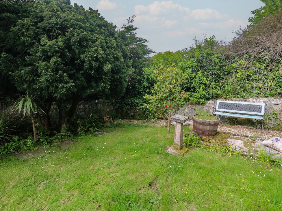 A garden with a tree and a bench at Tinners Way Tresowes near Ashton