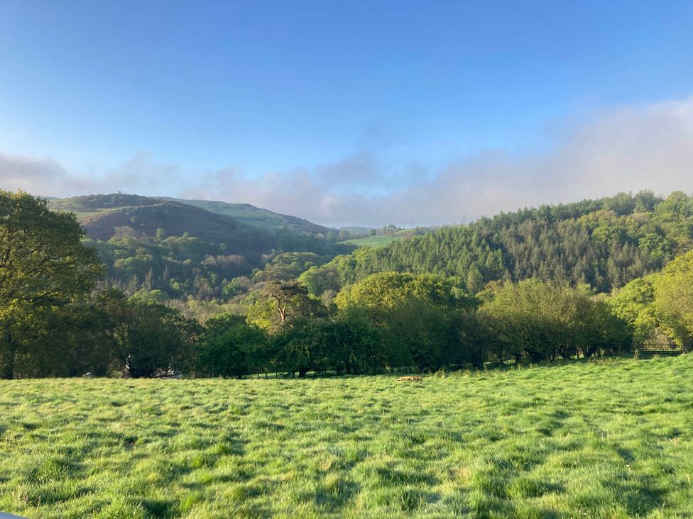 A landscape view of hills and trees with grass in the foreground at Hapus Yurt - Two Beautiful Yurts and Barn Cottage