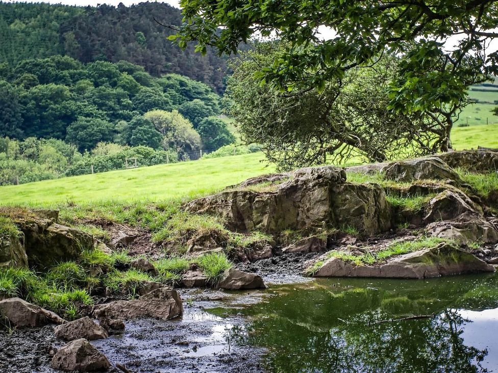 A nature scene with trees, grass, rocks, and a water pond at Hapus Yurt - Two Beautiful Yurts and Barn Cottage