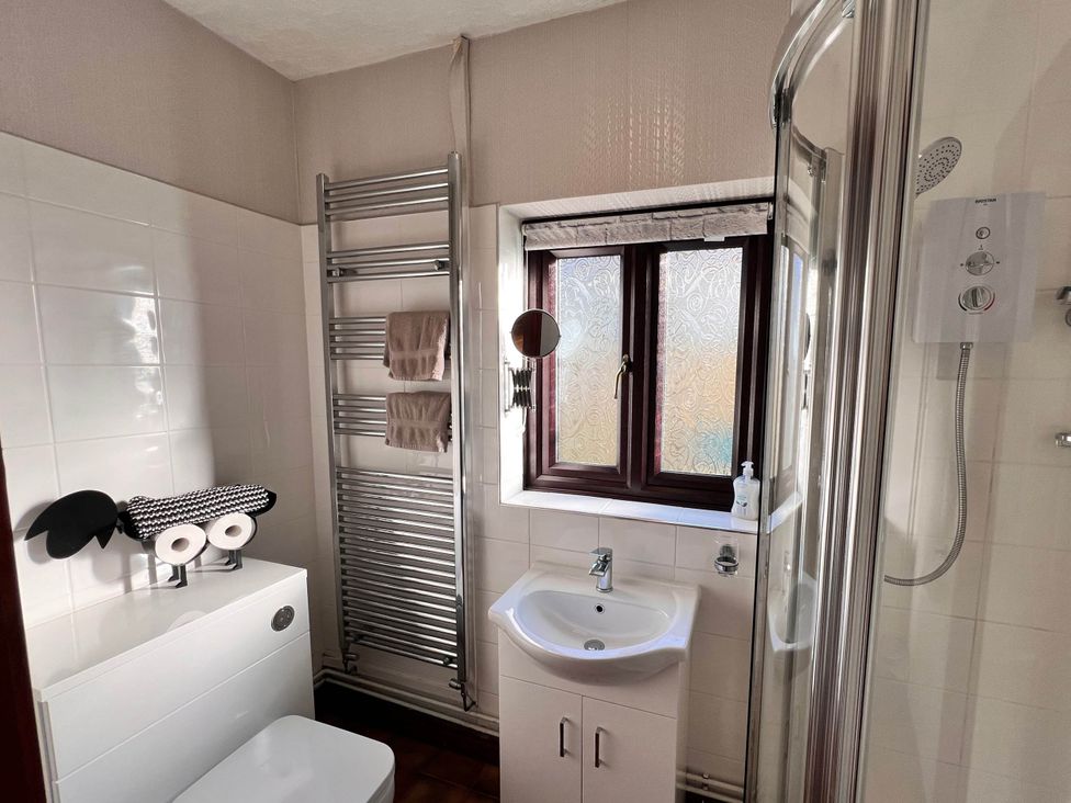 A bathroom with a sink, toilet, and shower at Dog-friendly farmhouse with Menai Strait views