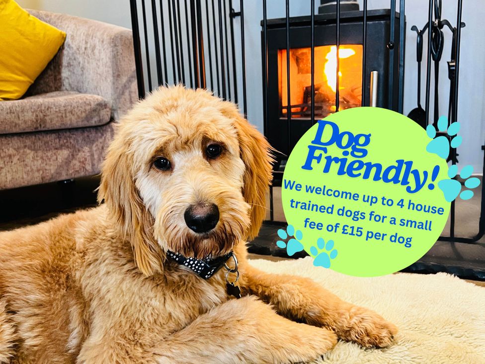 Cottage with mountain and sea views, Anglesey - Anglesey - 1200450 - thumbnail photo 23