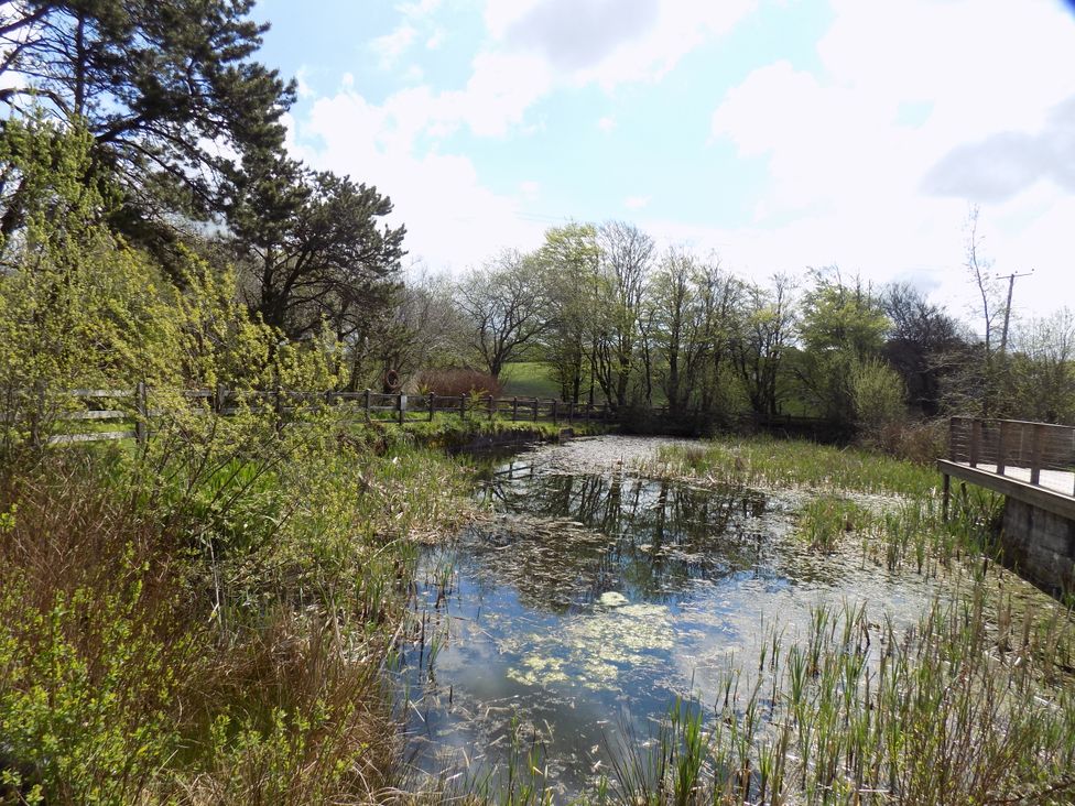 A pond surrounded by grass and trees at Riverside cottage with otters near Tintagel