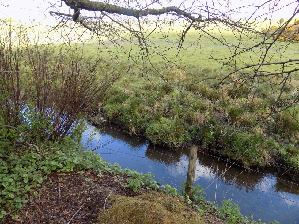 A stream bordered by grass and bushes with tree branches overhead at Riverside cottage with otters near Tintagel