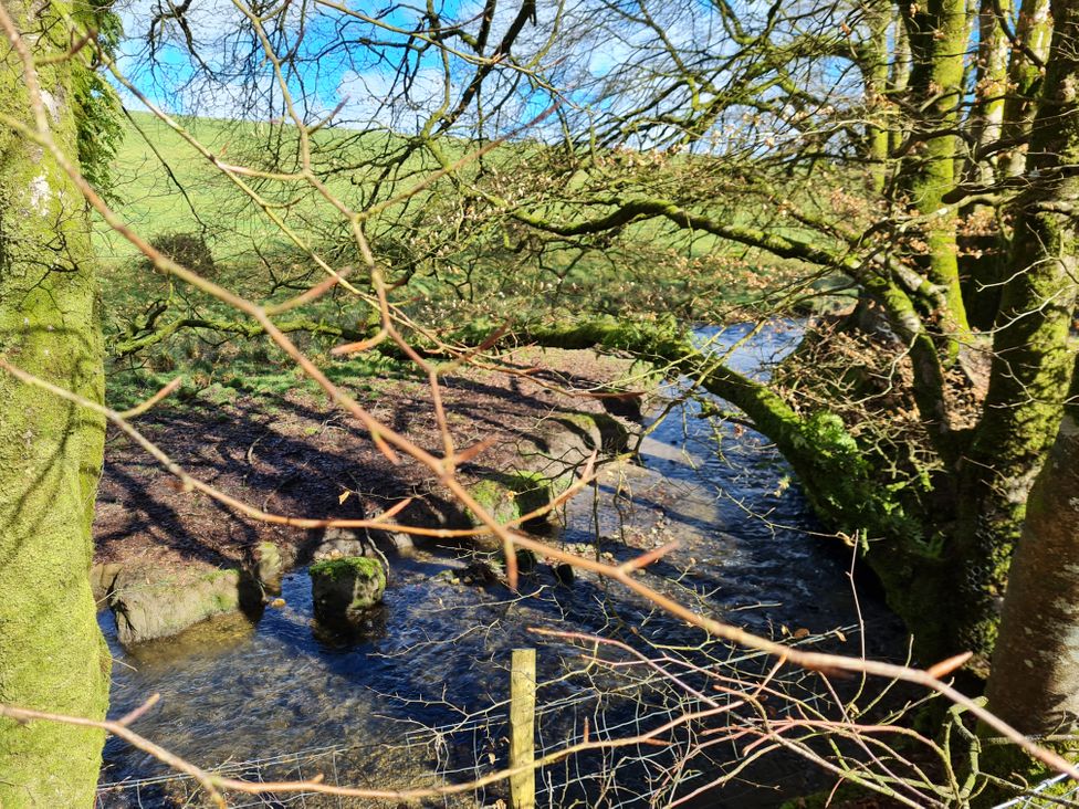 A view of a stream with trees and rocks at Riverside cottage with otters near Tintagel