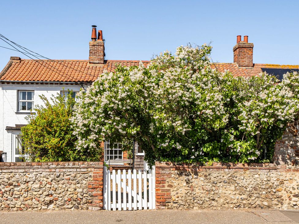 A house with a flowering bush and a white gate at Coastal cottage near harbour, beach and pubs in Brancaster