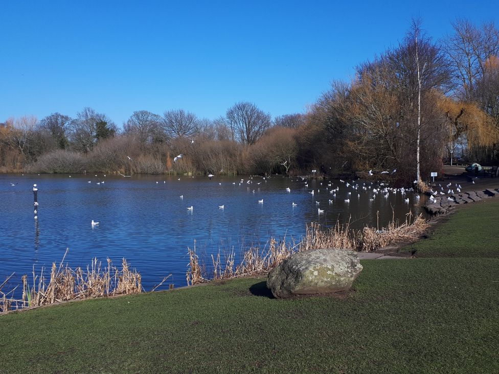 A lake with birds and a rocky area at the park tbc 