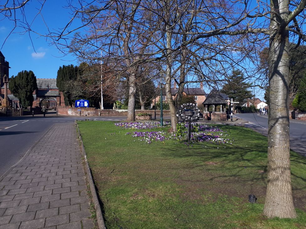 An outdoor area with trees and flowers along the pathway at tbc