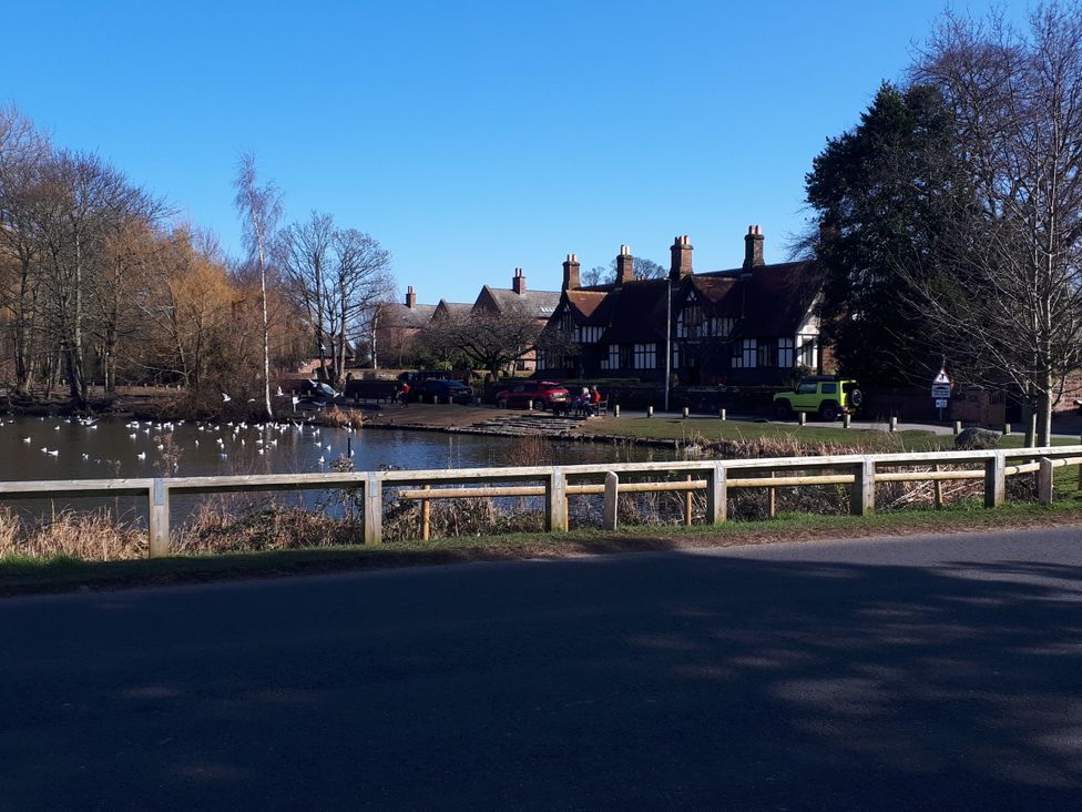 A pond with houses and cars near a wooded area at tbc