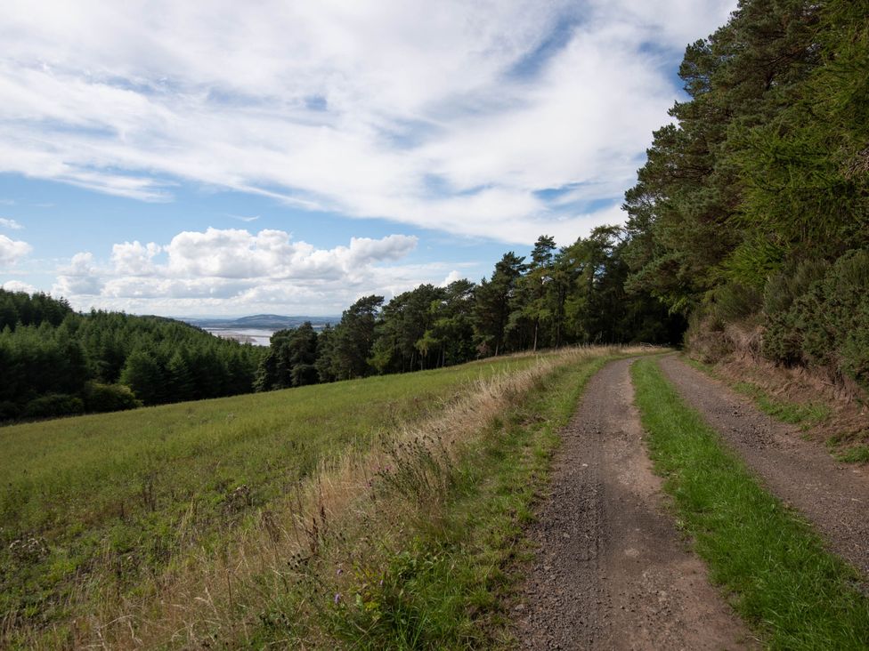 A road through grassy fields and trees at tbc in 