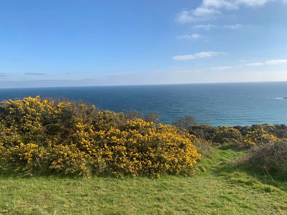 A view of the ocean and yellow flowers with grass at tbc in 