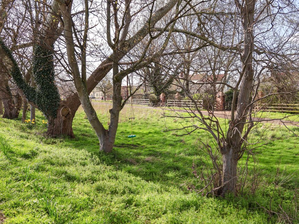A view of trees and grass with a swing in the garden at Lamb Cottage Stockton-On-Tees