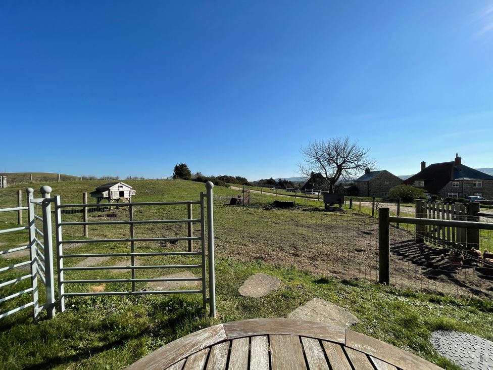 An outdoor view with a fence and chicken coop at tbc in 