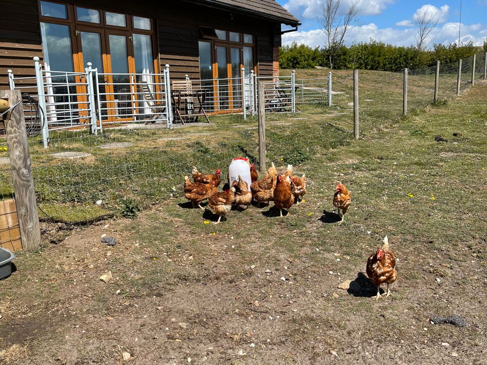 Countryside cottage with wood fire near the coast - Isle of Wight & Hampshire - 1200476 - thumbnail photo 9
