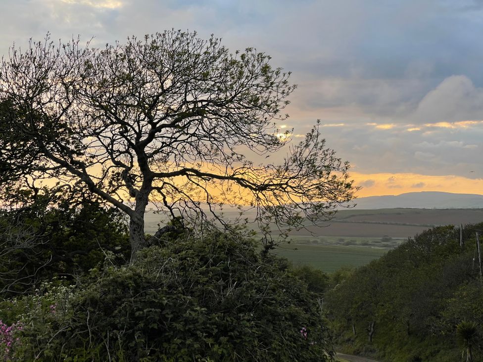 A tree viewed against the sky at tbc 
