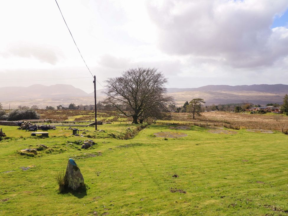 A landscape with a tree and open fields at The Lodge House at Rhiw Goch Inn Snowdonia National Park
