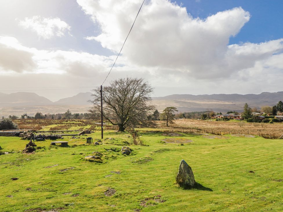 A field with a tree and mountains in the background at The Romantic Hideaway at Rhiw Goch Inn Snowdonia National Park