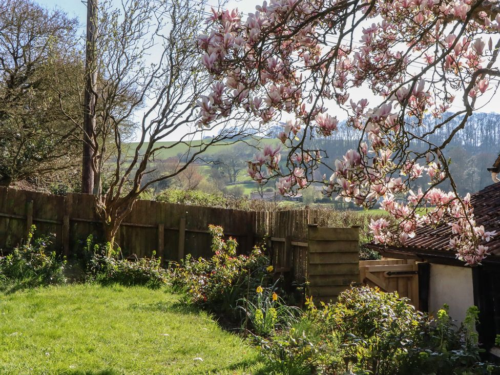 A garden with flowers and a tree at Upper Frogpool Cottage in Crediton