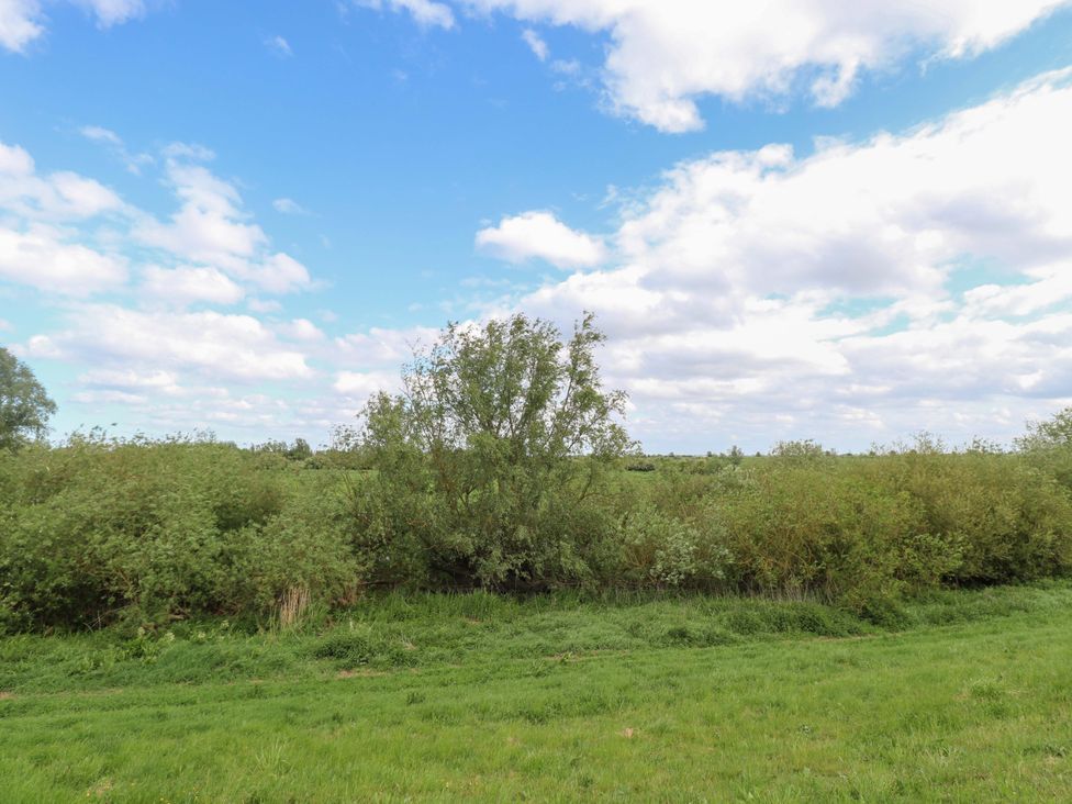 A landscape with grass and bushes at Hazel 