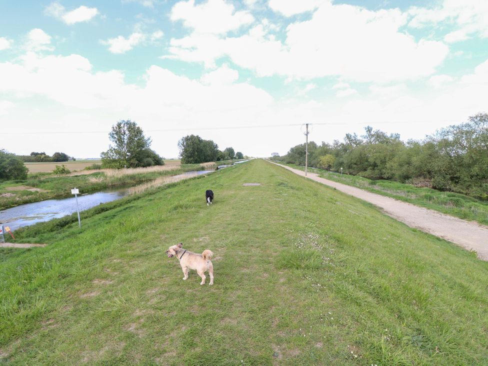 A pathway beside water with dogs walking at an outdoor location