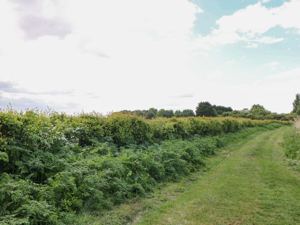 A pathway alongside hedges and bushes in an outdoor area at Hazel