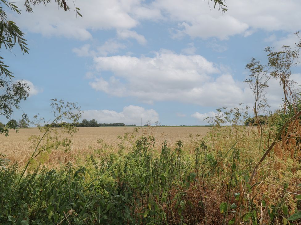 A field with plants and a blue sky at Hazel in Downham Market