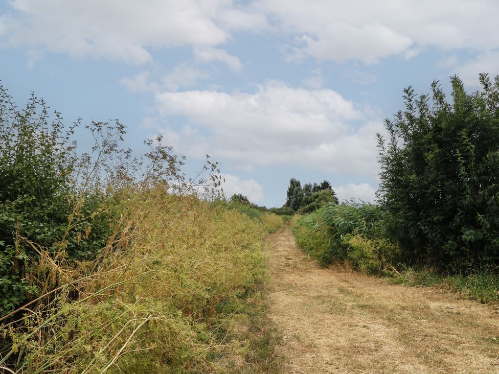 A dirt path flanked by vegetation at Hazel in Downham Market
