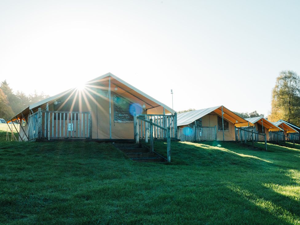 Tents with wooden railings and grass at Bracelands - Deluxe Pod 9 Coleford