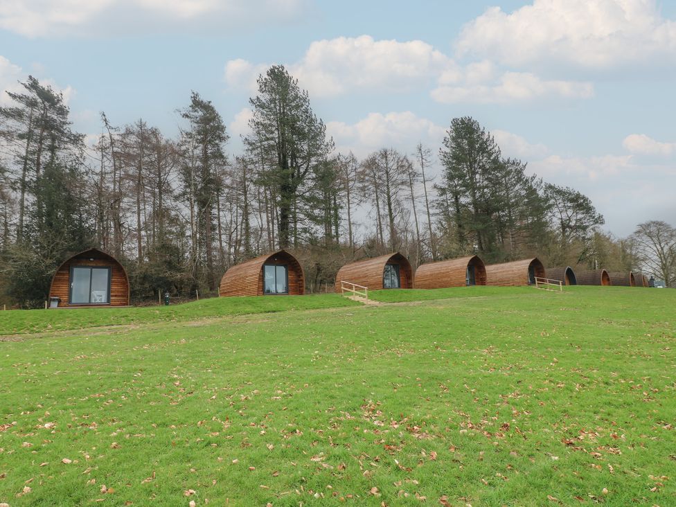 Glamping pods arranged on a grassy area at Bracelands - Deluxe Pod 10 in Coleford