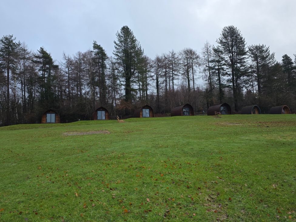 A row of cabins in a grassy area at Bracelands - Deluxe Pod 10 in Coleford