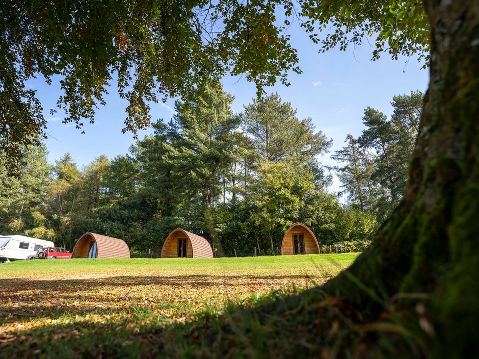 Three camping pods with a caravan at Bracelands - Cosy Pod 2 Coleford