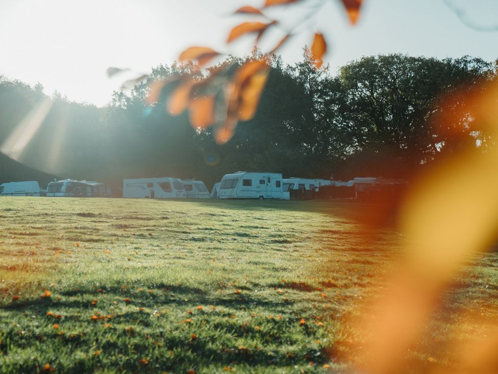 A field with caravans in the background at Bracelands - Safari Tent 1 Coleford