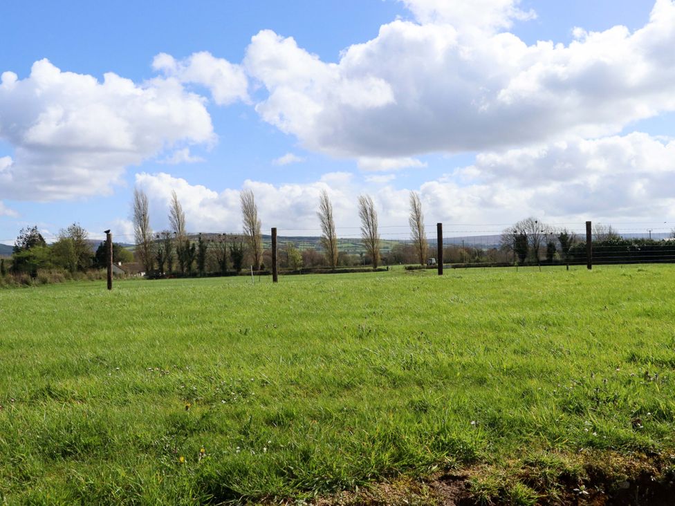 An outdoor field with trees and fence posts at BREAGHMORE