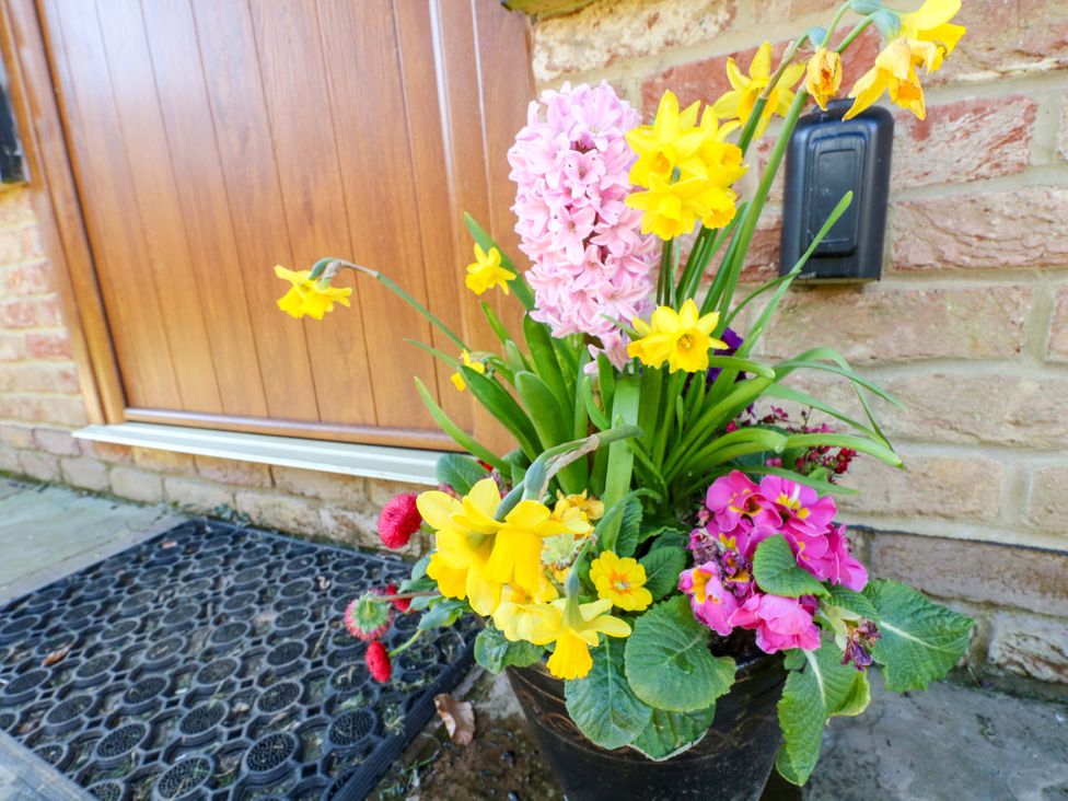 A flower pot with various flowers near a wooden door at Snowdrop Cottage Maidstone