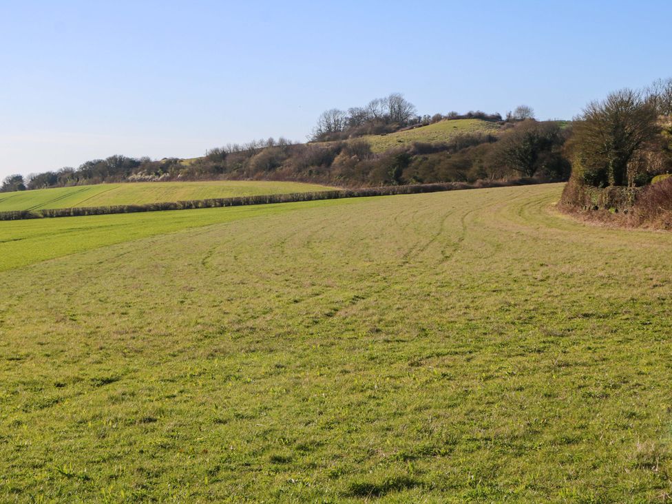 A grassy field with hills and trees in the background at Snowdrop Cottage in Maidstone
