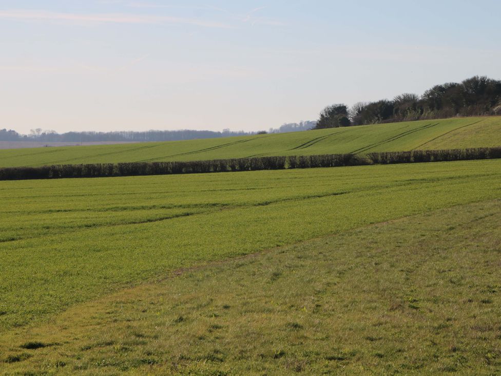 A field with grass and hedgerow at Snowdrop Cottage Maidstone