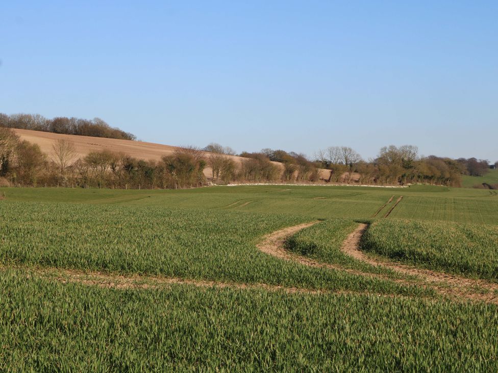 A field with a path and trees in the background at Snowdrop Cottage Maidstone