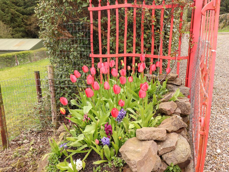 A flower garden with tulips and a red gate at Turraheen in Cashel
