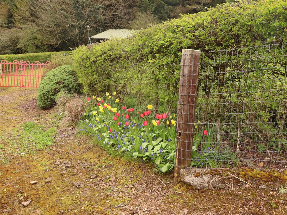 A garden with flowers and a wooden fence at Turraheen in Cashel