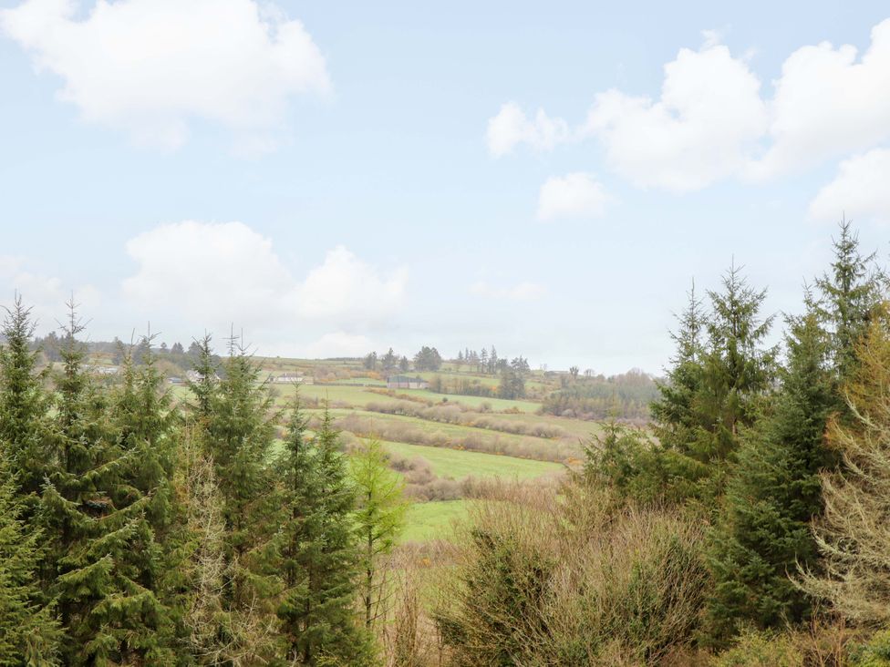 A view of trees and rolling hills at Turraheen in Cashel
